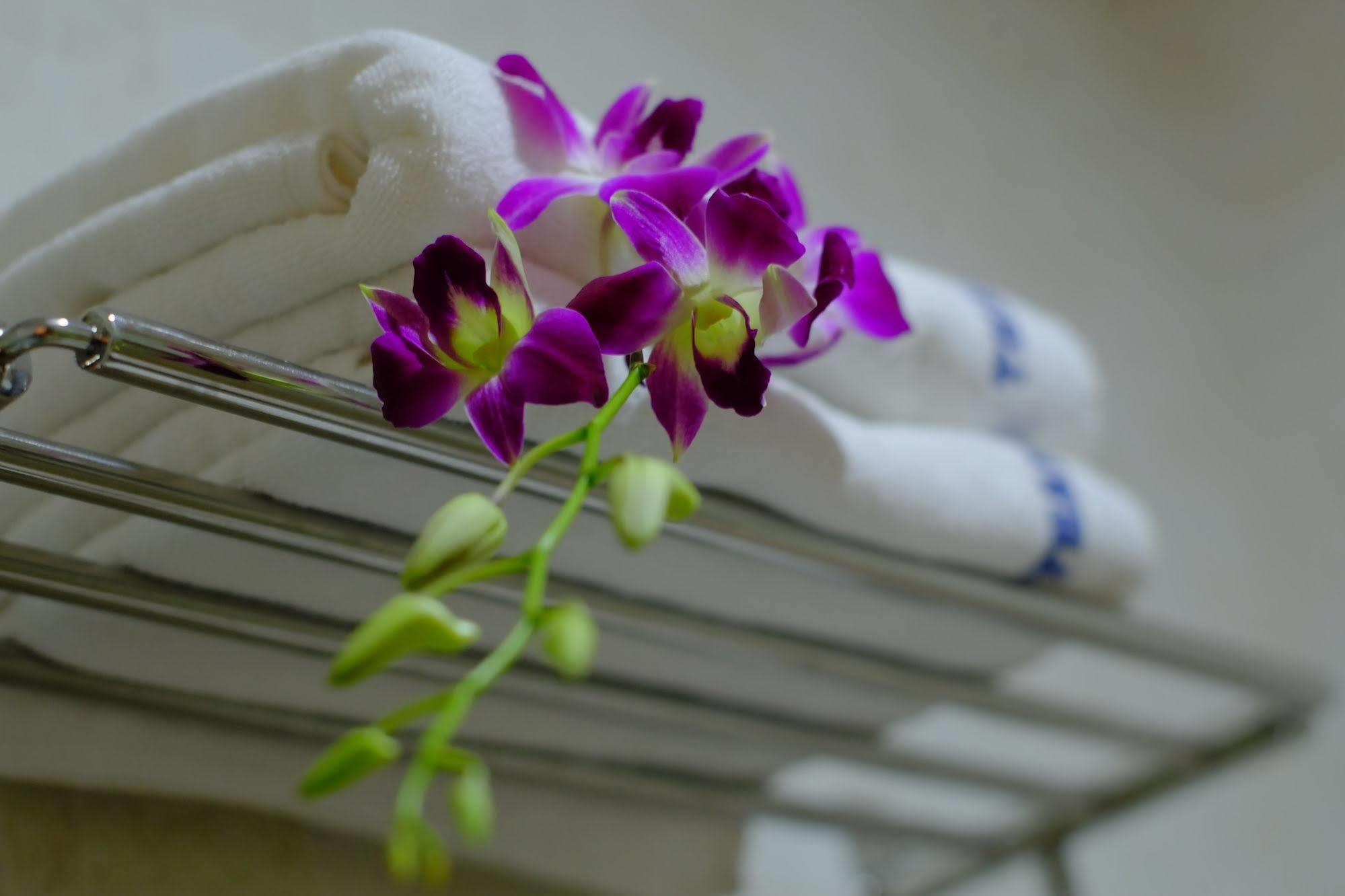 דה נאנג Thanh Hoang Chau Boutique Hotel מראה חיצוני תמונה